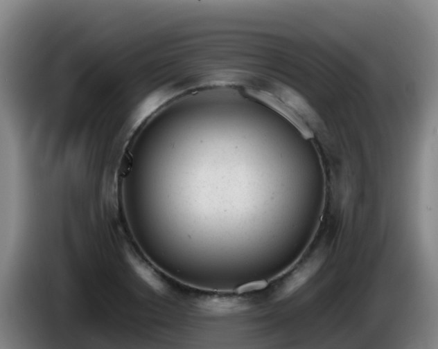 X0000086030842200703301052