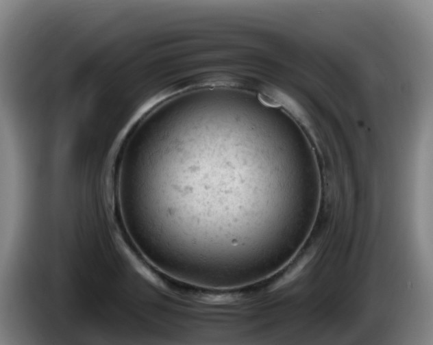 X0000086030843200703301052