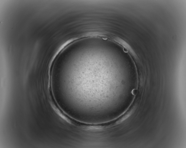 X0000086030844200703301052