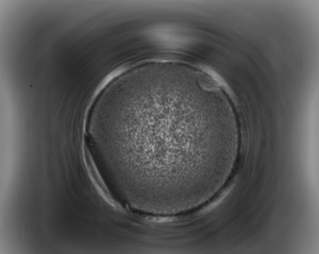 X0000086030845200703301052