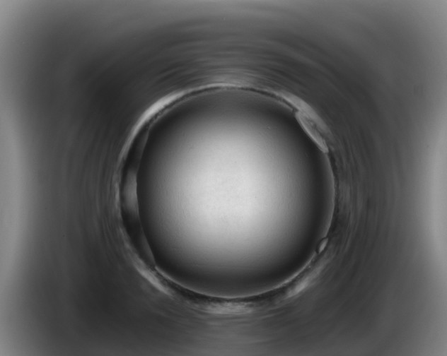 X0000086030846200703301052