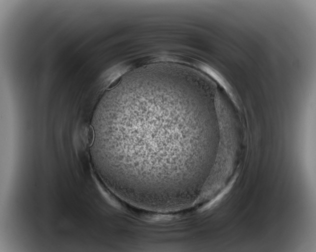 X0000086030849200703301052