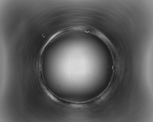 X0000086030852200703301052