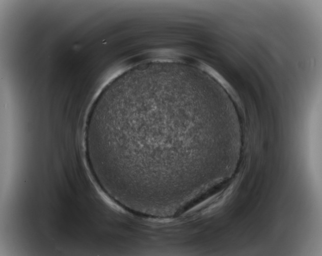 X0000086030853200703301052