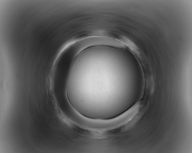 X0000086030854200703301052