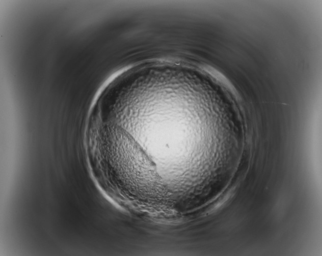 X0000086030855200703301052