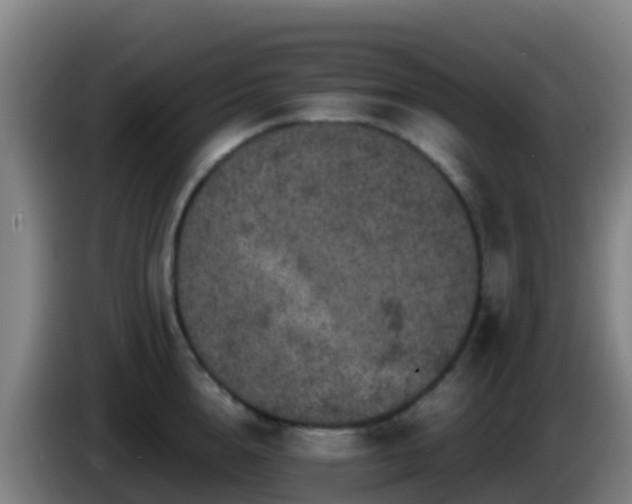 X0000086030856200703301052