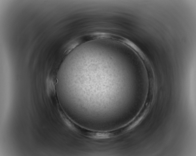 X0000086030857200703301052