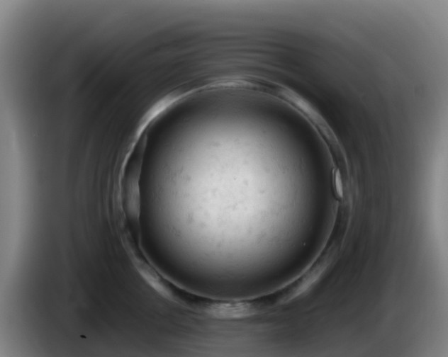 X0000086030858200703301052