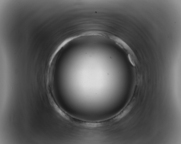 X0000086030860200703301052