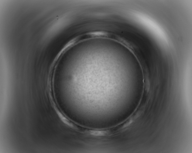 X0000086030861200703301052