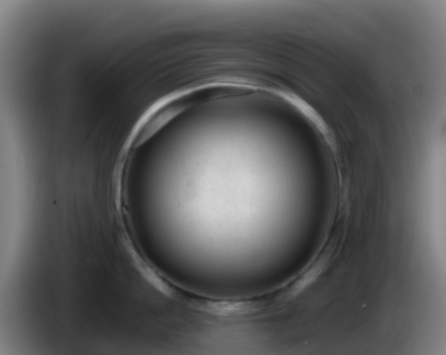 X0000086030862200703301052