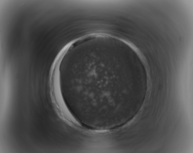 X0000086030864200703301052