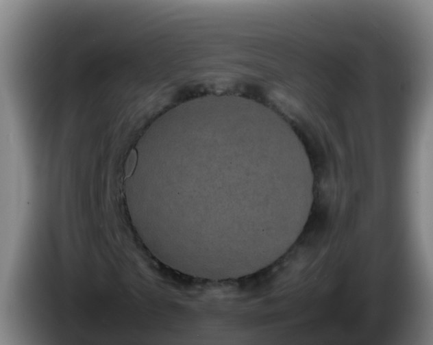 X0000086030865200703301052