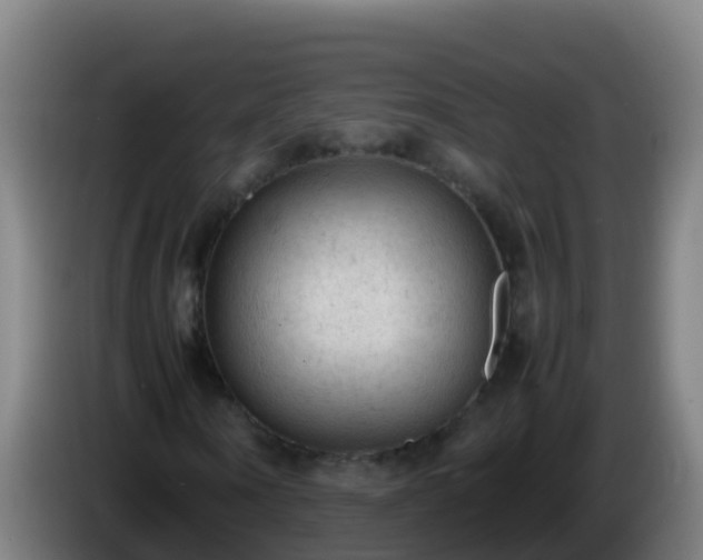 X0000086030866200703301052