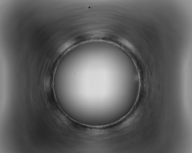 X0000086030873200703301052