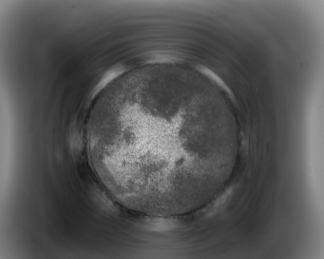 X0000086030874200703301052