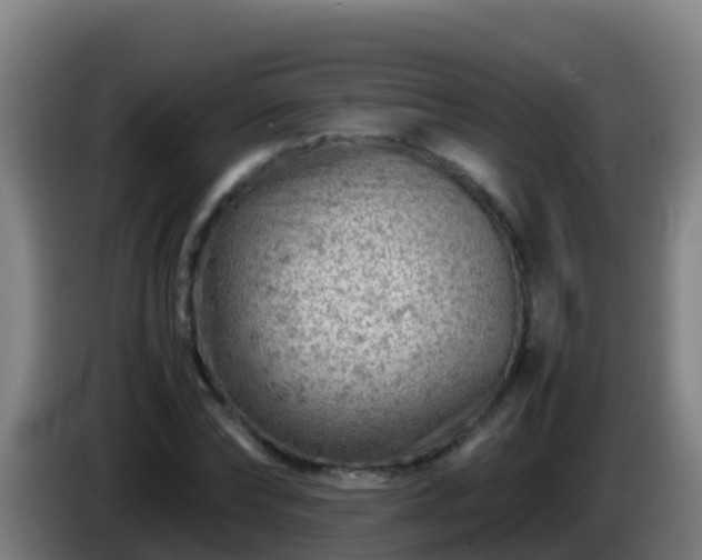 X0000086030878200703301052