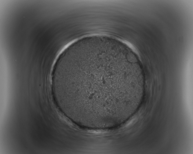 X0000086030879200703301052