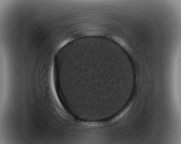 X0000086030881200703301052