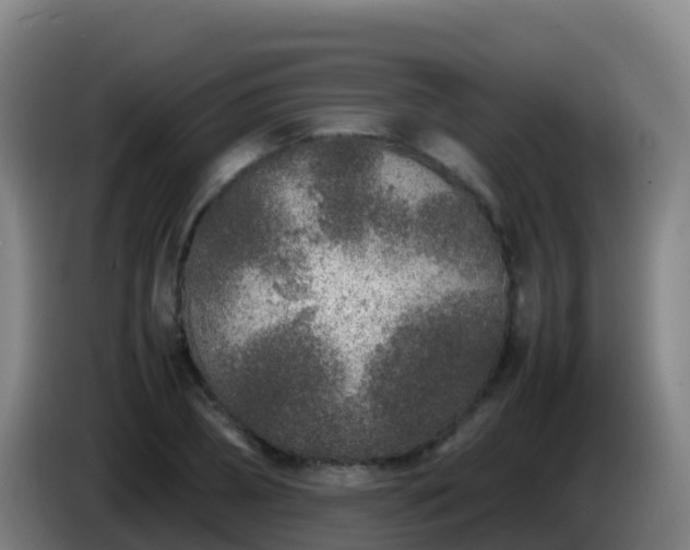 X0000086030882200703301052