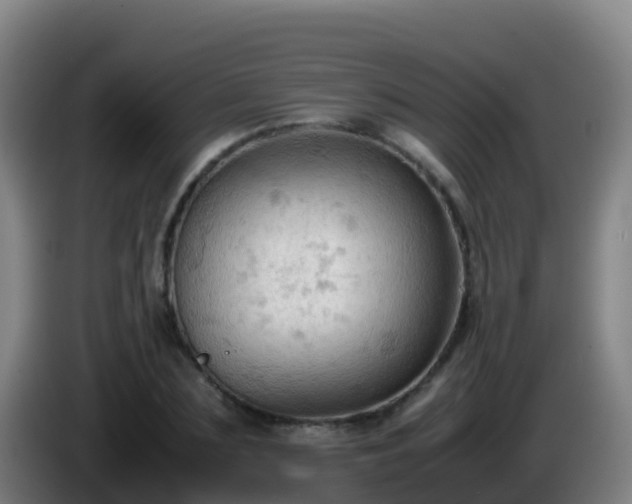 X0000086030883200703301052