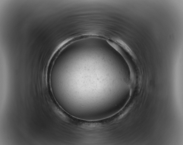 X0000086030884200703301052