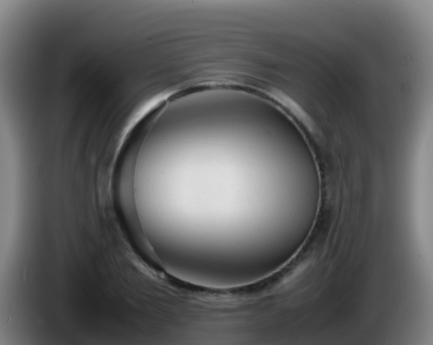 X0000086030885200703301052