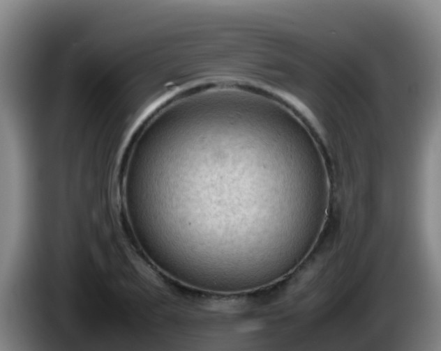 X0000086030887200703301052