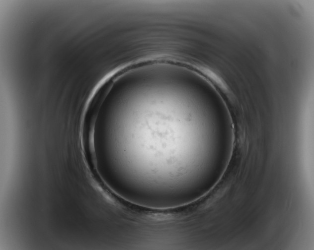 X0000086030888200703301051