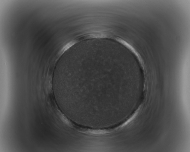 X0000086030889200703301051