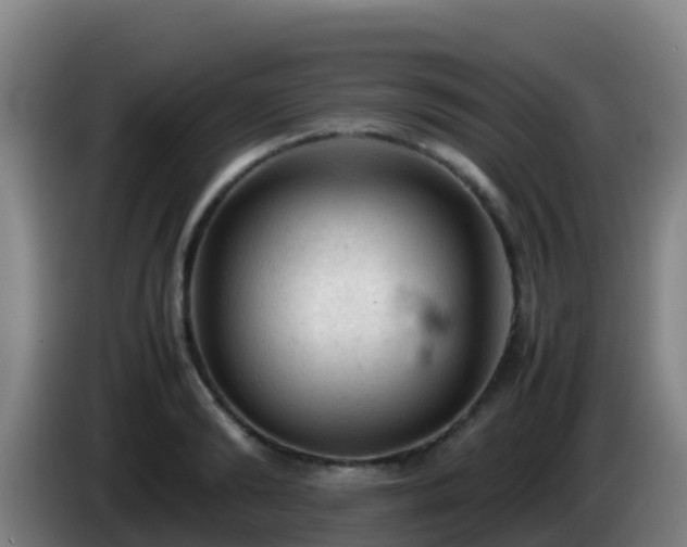 X0000086030894200703301051