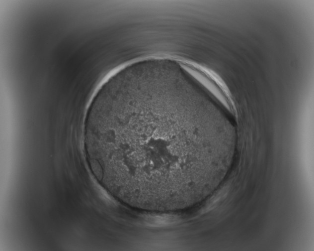 X0000086030895200703301051