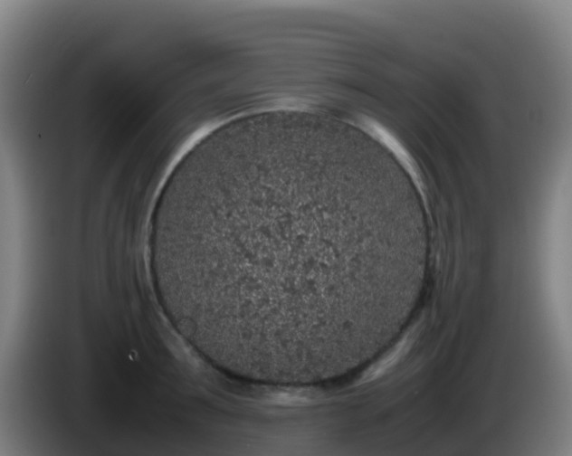 X0000086030899200703301051