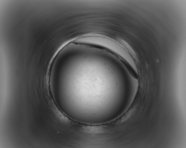 X0000086030900200703301051