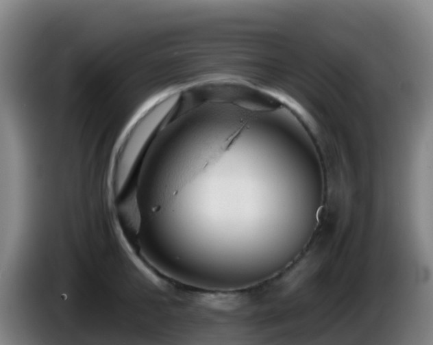 X0000086030902200703301051