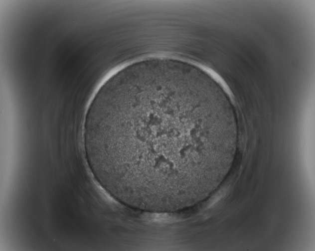 X0000086030903200703301051