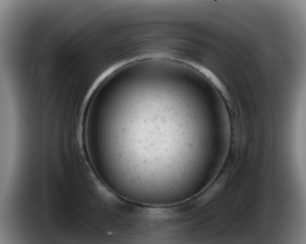 X0000086030904200703301051