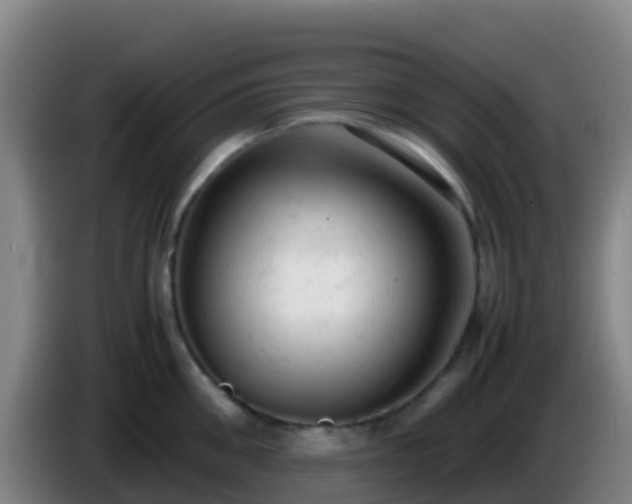 X0000086030906200703301051