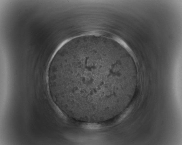 X0000086030907200703301051