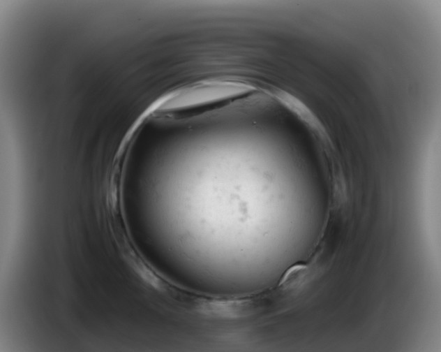 X0000086030908200703301051