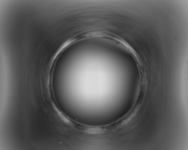 X0000086030909200703301051