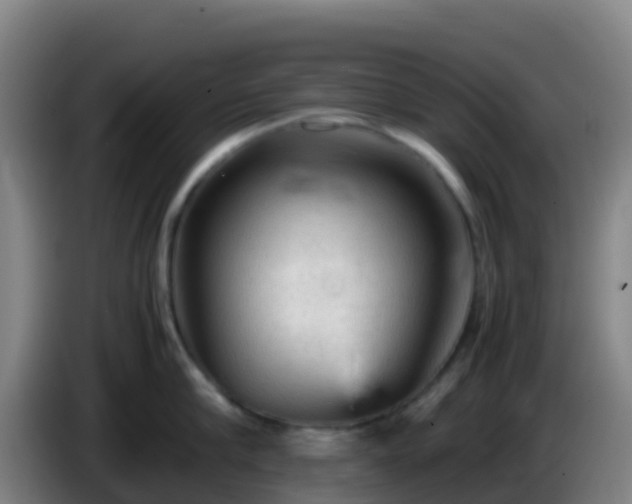 X0000086030910200703301051