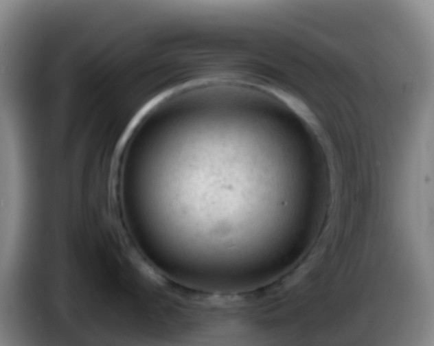 X0000086030912200703301051