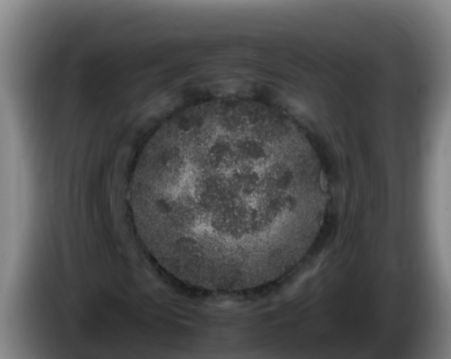 X0000086030913200703301050