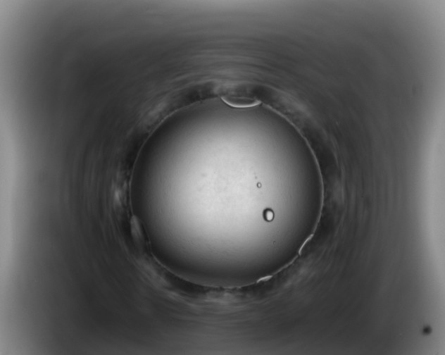 X0000086030914200703301050