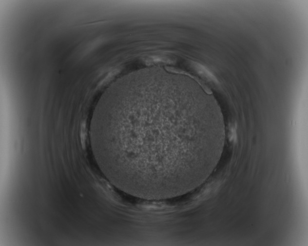 X0000086030915200703301051