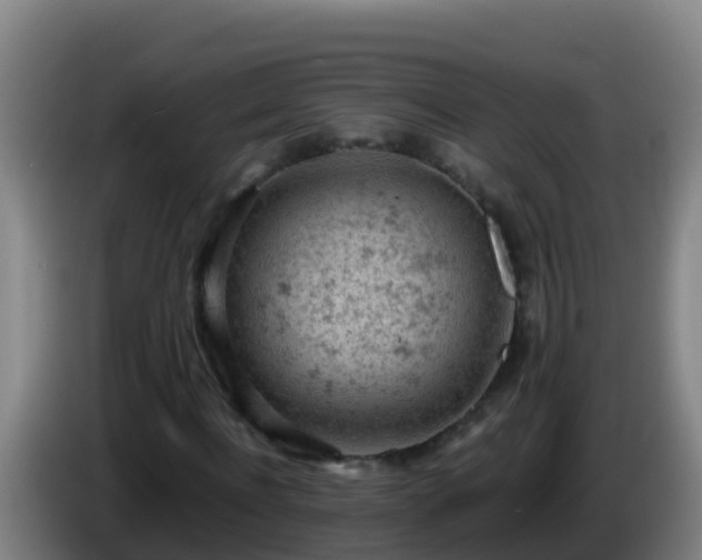 X0000086030916200703301051