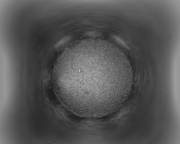 X0000086030917200703301051