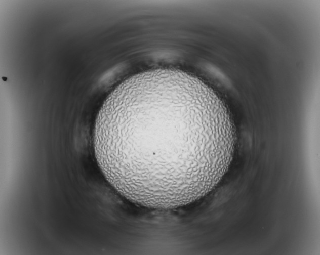 X0000086030918200703301051